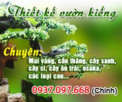 thiet ke vuon kieng