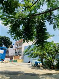 ban nha cap 4 cu phuong linh dong tp thu duc